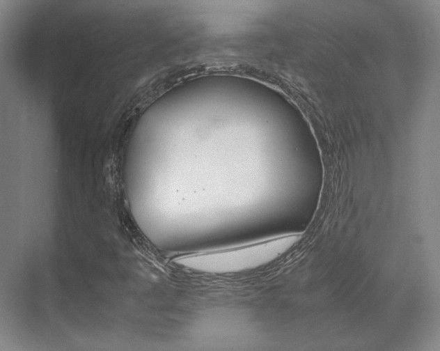 X0000072501445200607140924