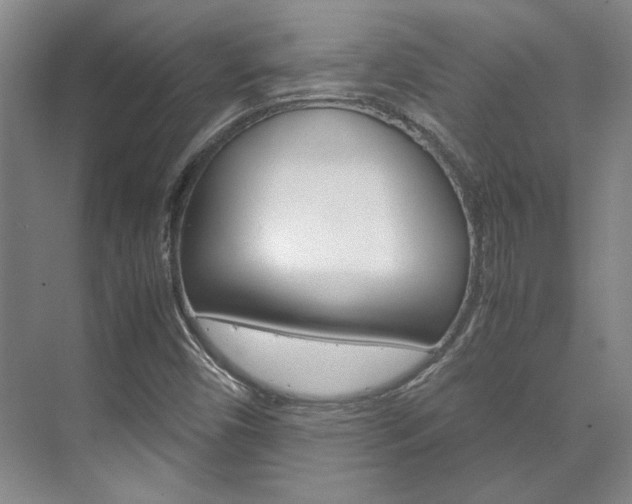 X0000072501450200607140924