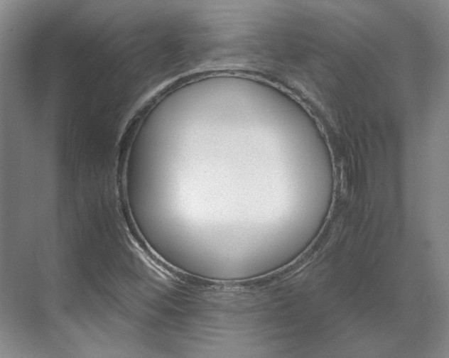X0000072501452200607140924