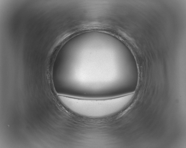 X0000072501453200607140924