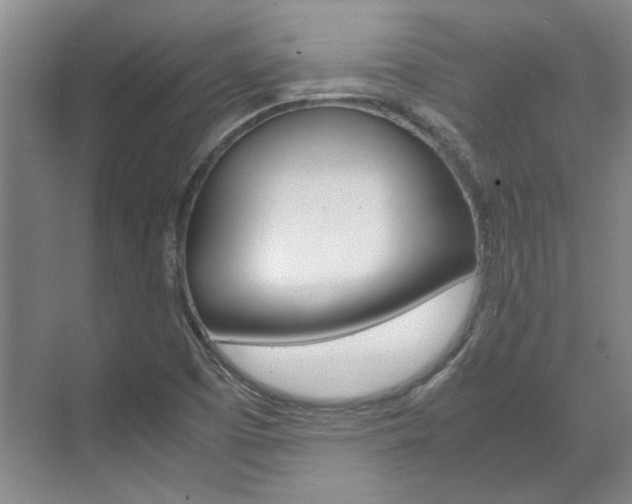 X0000072501457200607140924