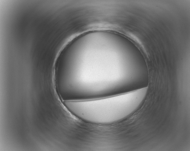 X0000072501472200607140923