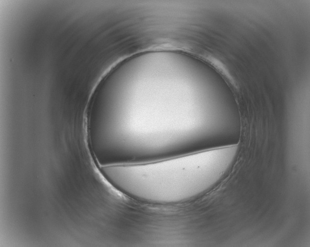 X0000072501476200607140923