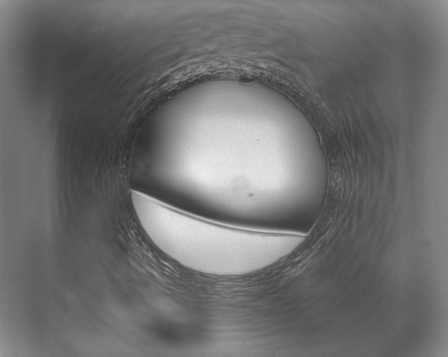 X0000072501490200607140922