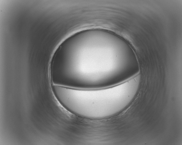 X0000072501516200607140923
