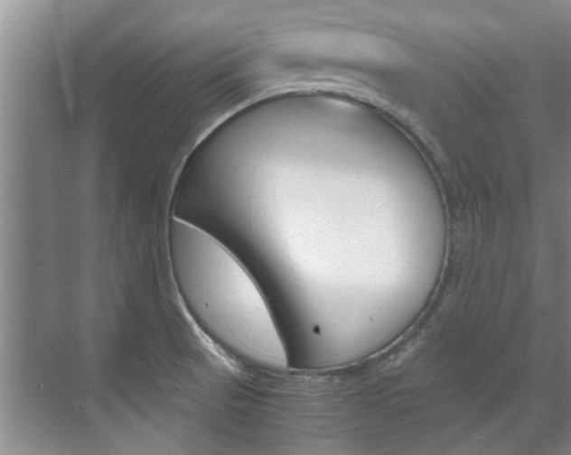 X0000072501521200607140923