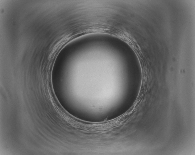 X0000072500001200607141141