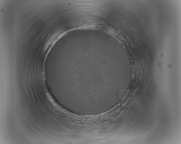 X0000072500002200607141141