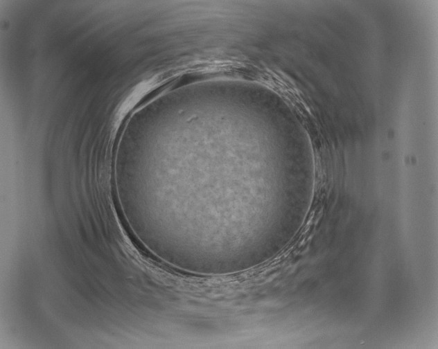 X0000072500003200607141141