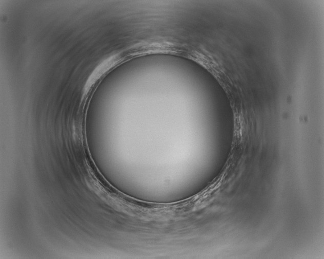 X0000072500004200607141141