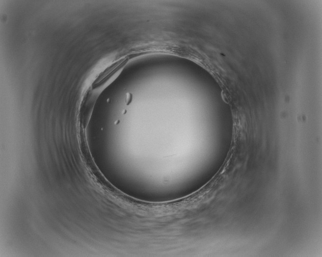 X0000072500006200607141141