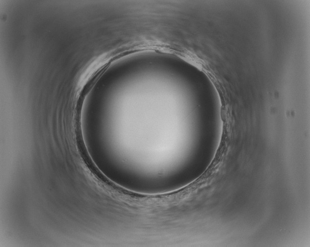 X0000072500007200607141141