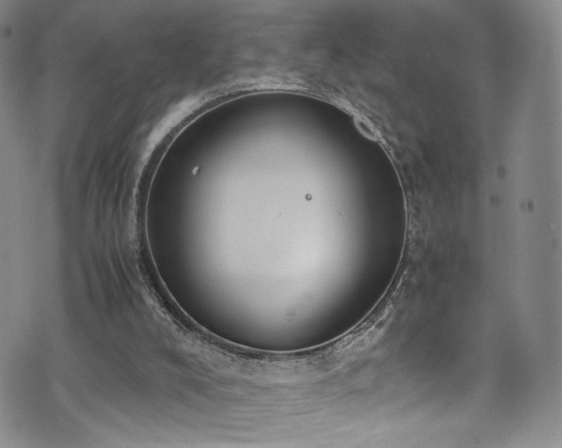 X0000072500008200607141141