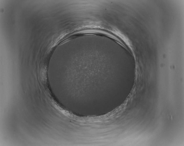 X0000072500009200607141141