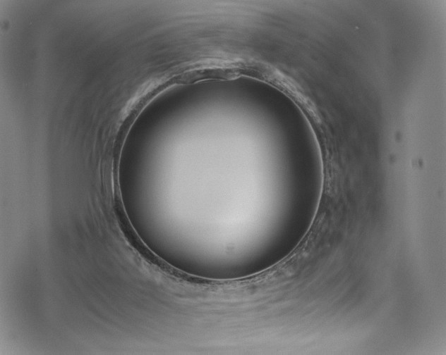 X0000072500011200607141141