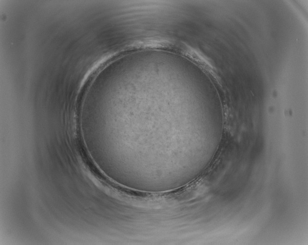 X0000072500012200607141141