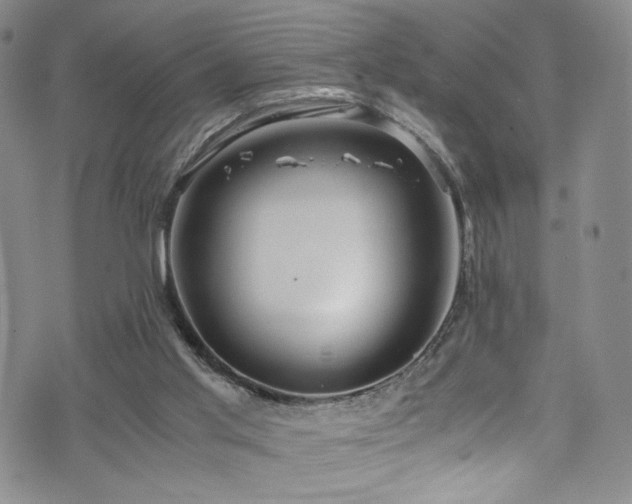 X0000072500013200607141141