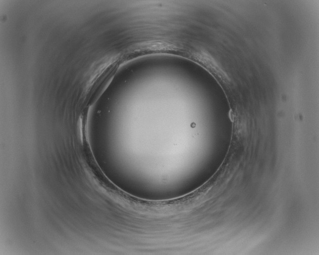 X0000072500014200607141141