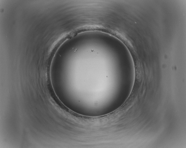 X0000072500015200607141141