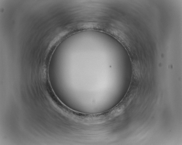 X0000072500016200607141141