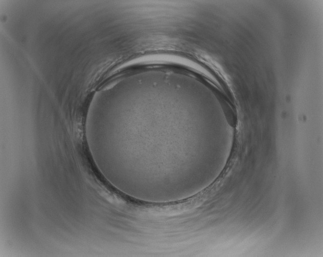 X0000072500017200607141141