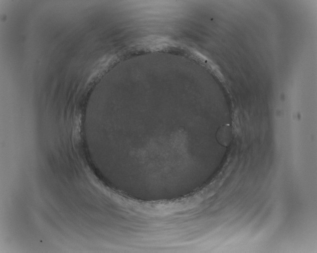 X0000072500018200607141141