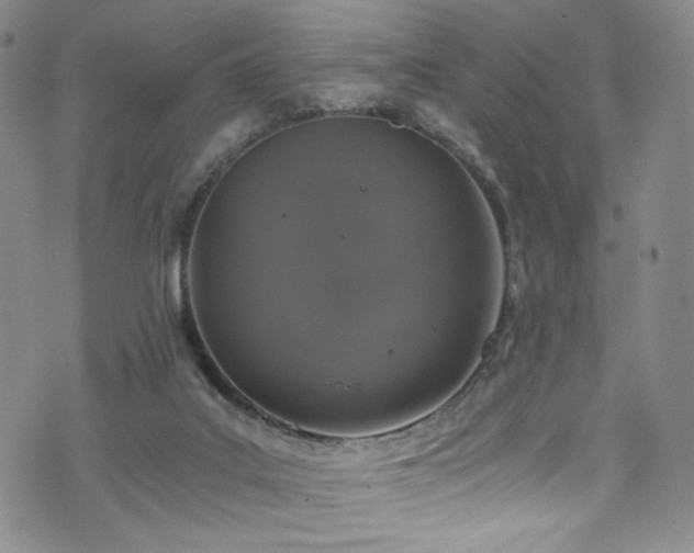 X0000072500019200607141141