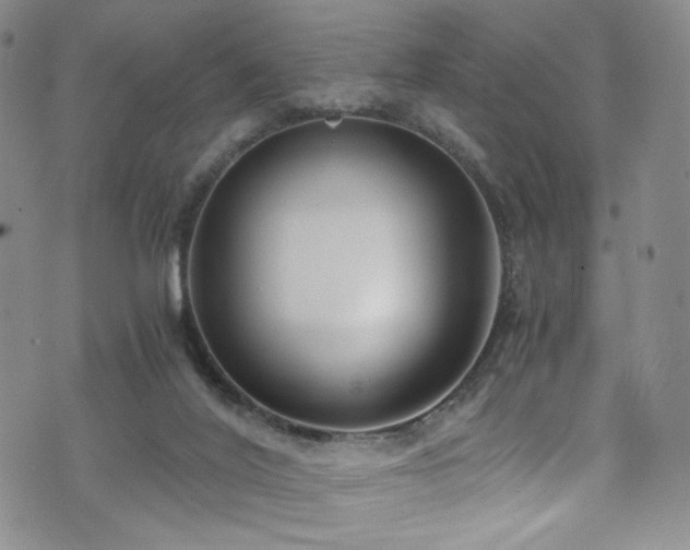 X0000072500020200607141141