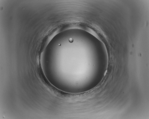 X0000072500021200607141141