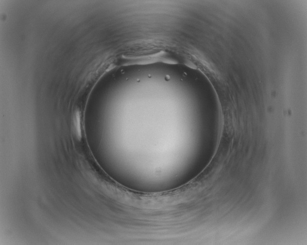 X0000072500022200607141141