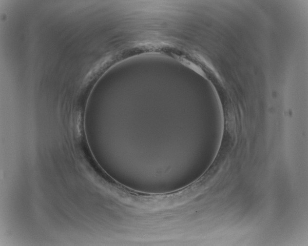 X0000072500023200607141141