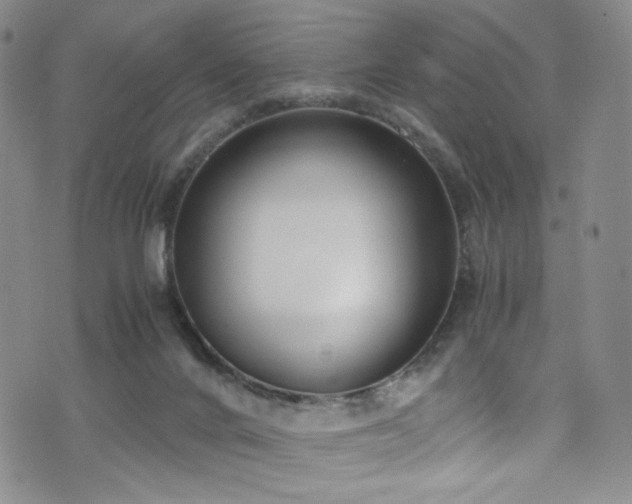 X0000072500024200607141141