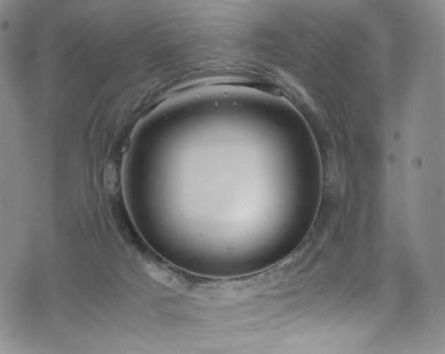 X0000072500025200607141141