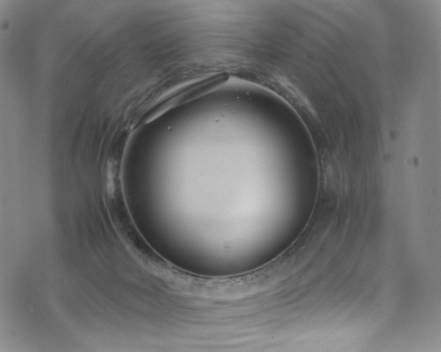 X0000072500026200607141141