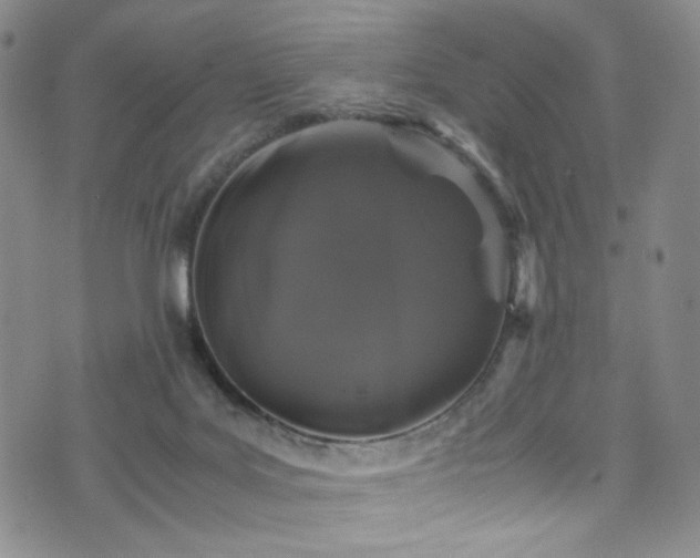 X0000072500027200607141141