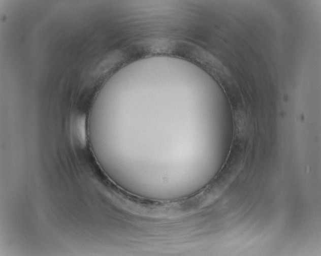 X0000072500028200607141141