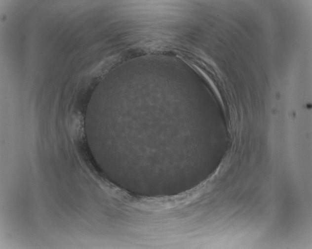 X0000072500029200607141141