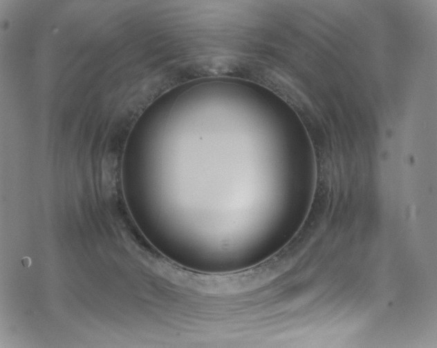 X0000072500030200607141141