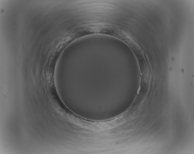 X0000072500031200607141141