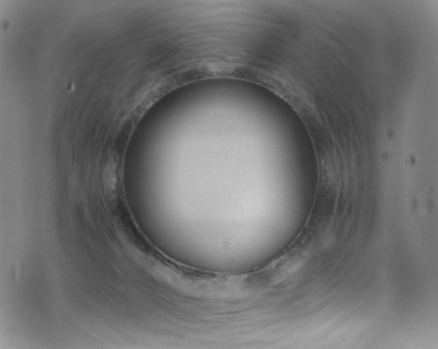 X0000072500032200607141140