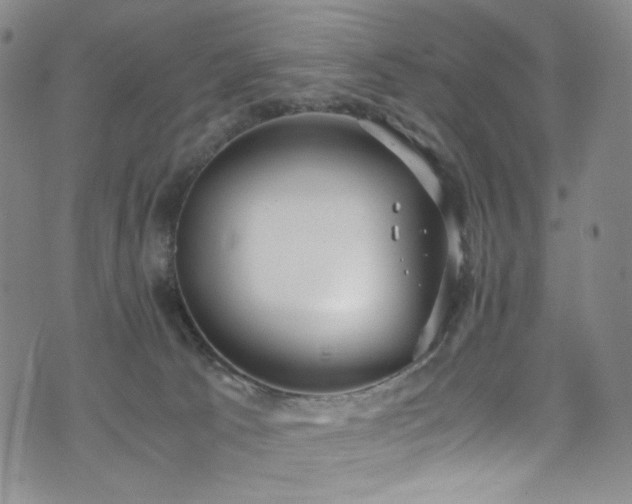 X0000072500033200607141140