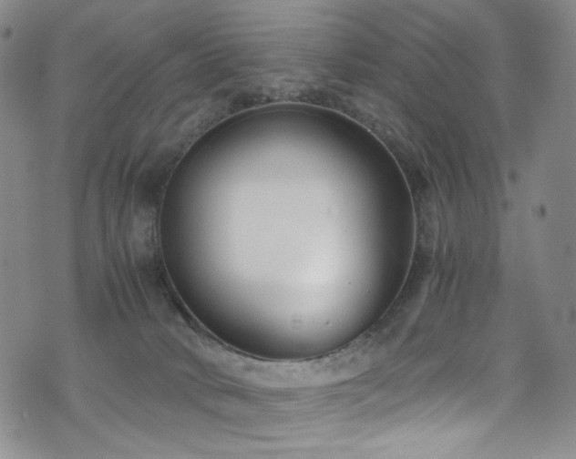 X0000072500034200607141140