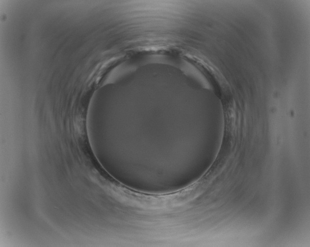 X0000072500035200607141140