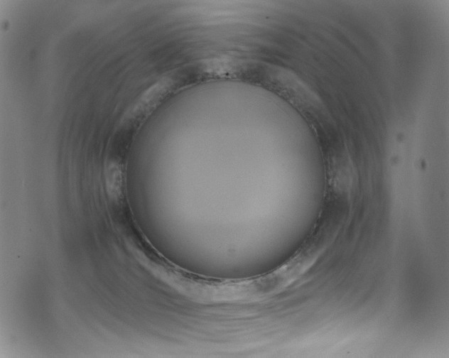 X0000072500036200607141140