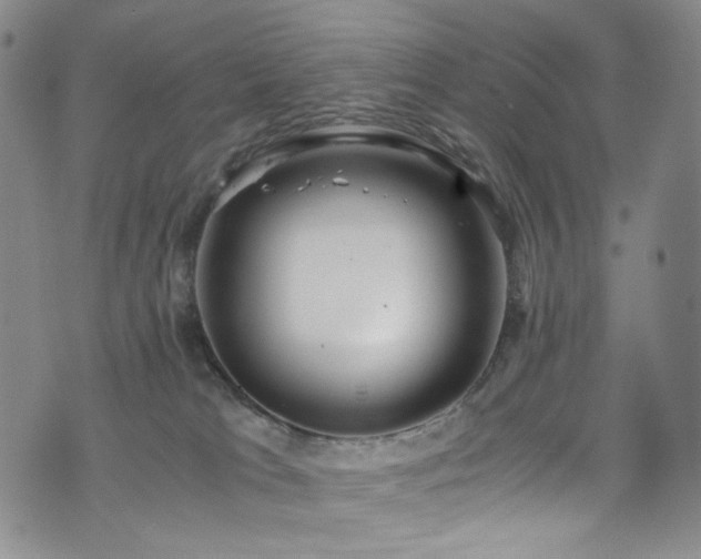 X0000072500037200607141140