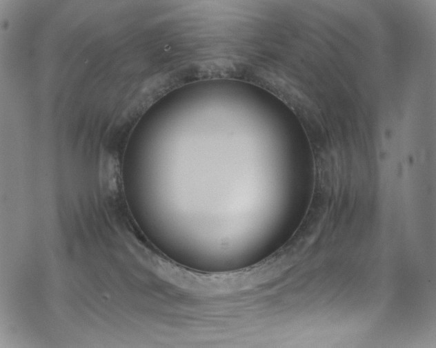 X0000072500038200607141140