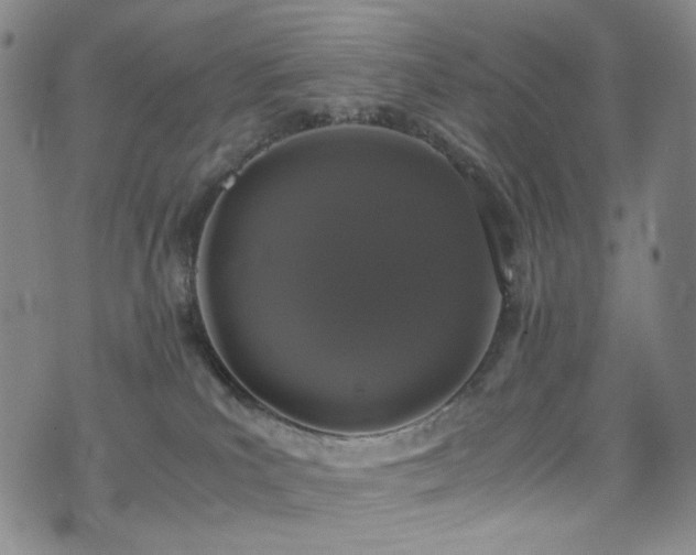 X0000072500039200607141140