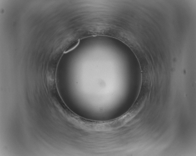 X0000072500040200607141140