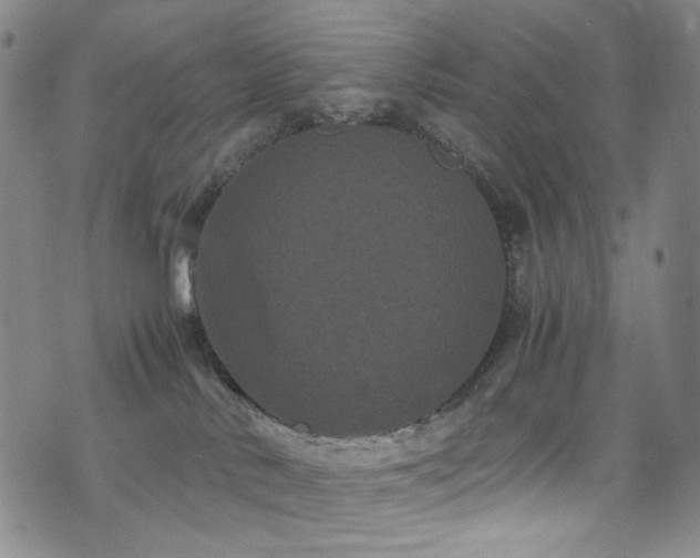 X0000072500042200607141140