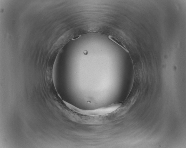 X0000072500044200607141140